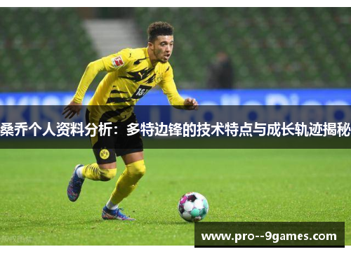 桑乔个人资料分析：多特边锋的技术特点与成长轨迹揭秘